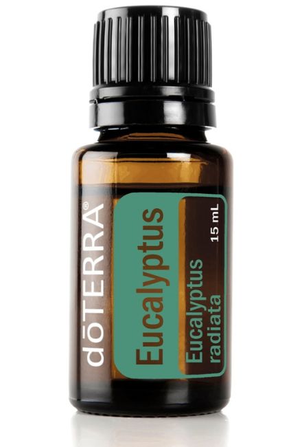 reines ätherisches Eucalypus Öl, 15 ml, doTERRA