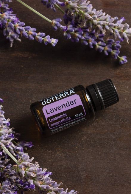 reines ätherisches Lavendel Öl von doTERRA