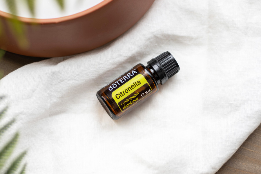 citronella-900x600